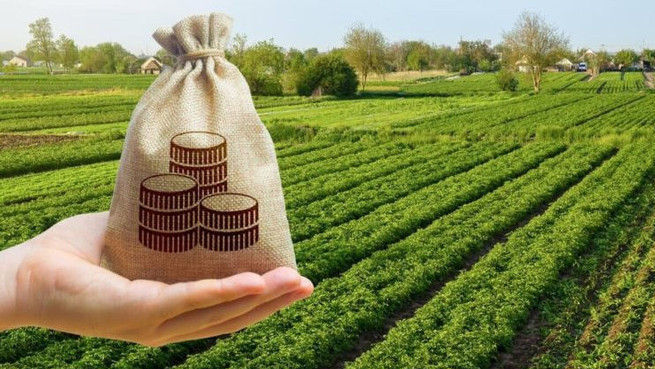 IMM-urile și fermierii, sprijiniți să se alinieze regulilor pieței UE
