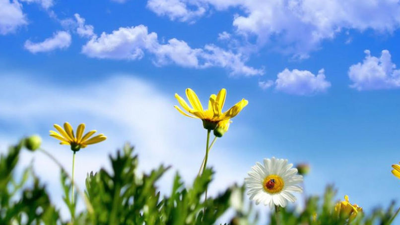 Meteo 11 august: Cer variabil și temperaturi de până la +29°C