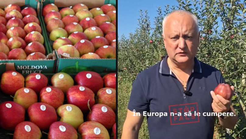 Stopfals: Europa nu va cumpăra merele din Moldova, potrivit lui Dodon