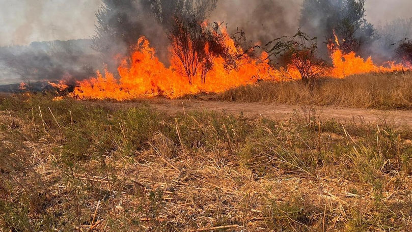 Incendiu de vegetație la Nisporeni. O femeie a ajuns la spital