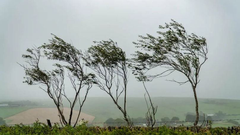Alertă meteo: Cod Galben de vânt puternic pe întreg teritoriul țării