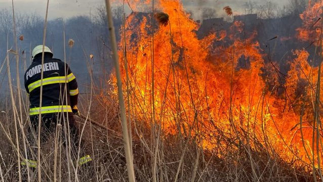Incendiu de vegetație la Cimișlia. Îndemnul pompierilor pentru cetățeni