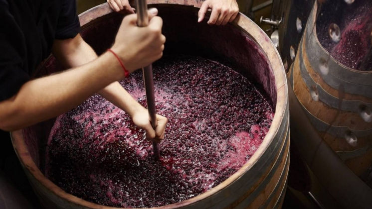 Bălți: Salvatorii vin cu atenționări în sezonul de fermentare a vinului