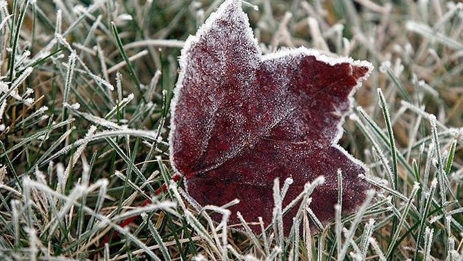 Cod Galben de înghețuri: Noaptea sunt așteptate temperaturi sub 0°