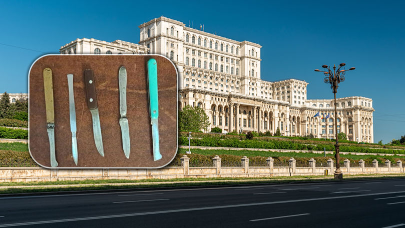 Primele declarații ale femeii prinse cu 6 cuțite în Parlamentul României
