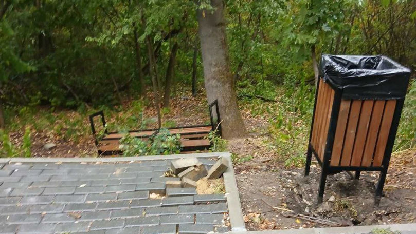 Parcul-pădure Râșcani, vandalizat din nou. Reacția Primăriei Capitalei