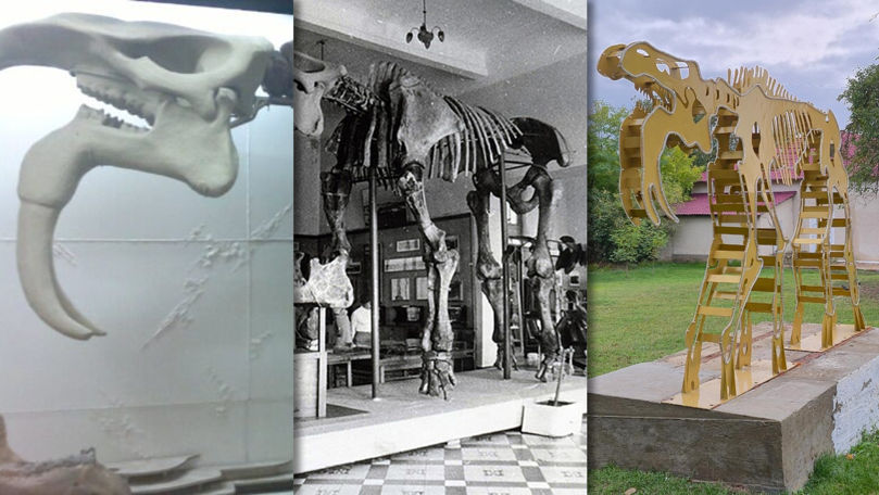 Fosilă sau fiasco: Sculptura unui dinozaur a divizat un sat din Rezina