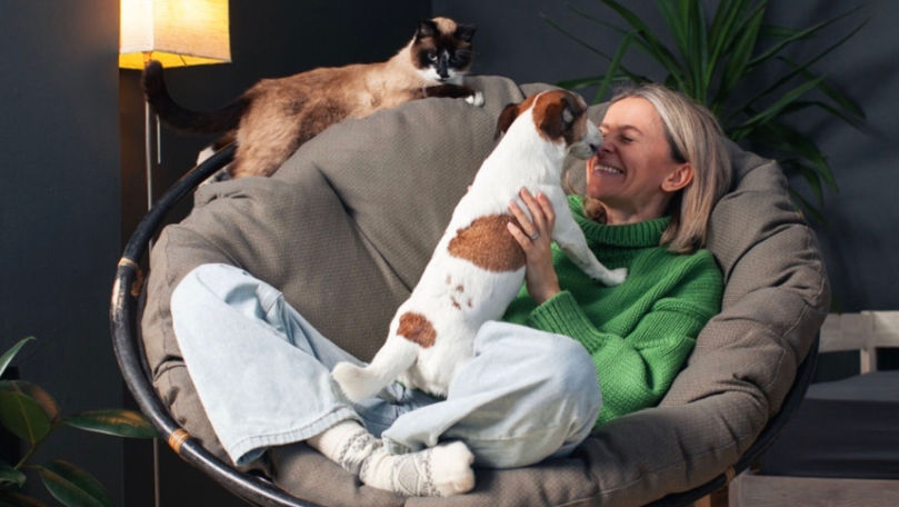 Studiu: Interacțiunea cu câinii încetinește îmbătrânirea biologică