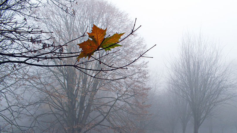 Ceață în orele dimineții. Prognoza meteo pentru mâine