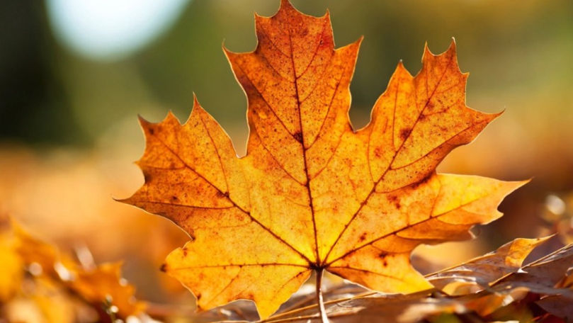 Săptămâna continuă cu vreme frumoasă. Ce temperaturi vom avea mâine