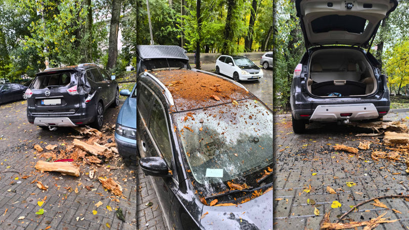 Un copac putred a căzut peste o mașină în Chișinău