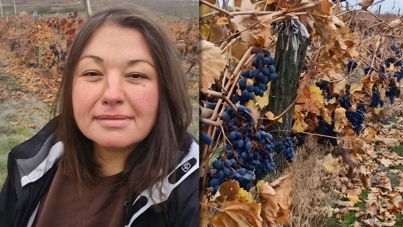O agricultoare îi răspunde lui Belous din vie: Și eu sunt bolfoșică