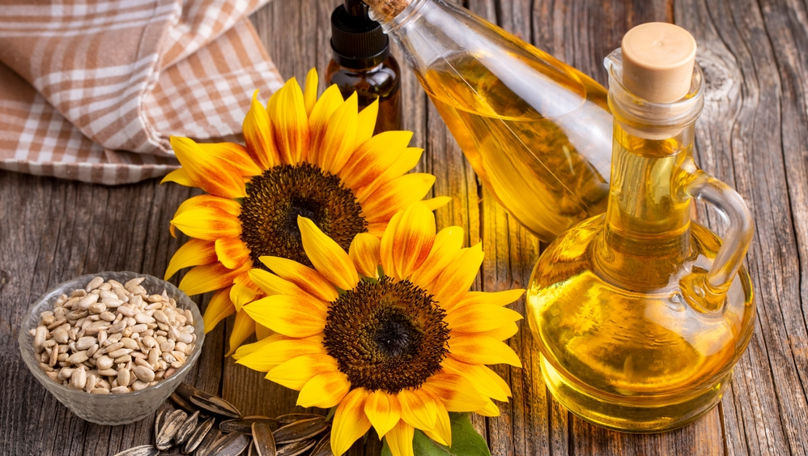 În patru luni, Moldova a exportat 18.520 tone de ulei de floarea-soarelui