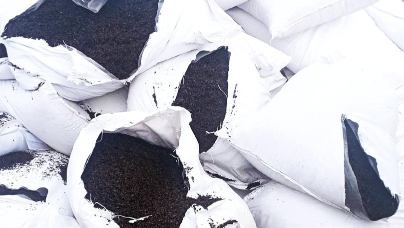 Peste o tonă de ceai negru cu reziduuri de pesticid, nimicită de ANSA