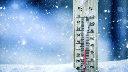 MAIA: Temperaturile scăzute din decembrie nu pun în pericol culturile agricole