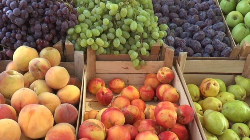 Noi condiții pentru exportul produselor agroalimentare în Franța. Recomandările MAIA
