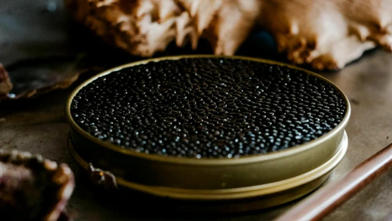 Primul caviar produs ecologic în Europa. Se vinde cu 8.000 de euro pentru un kilogram