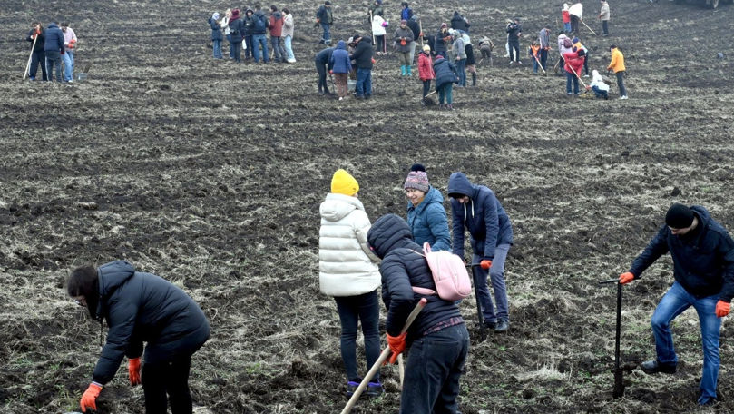 Campania Primăvara 2026, lansată: Mii de hectare vor fi împădurite în acest sezon