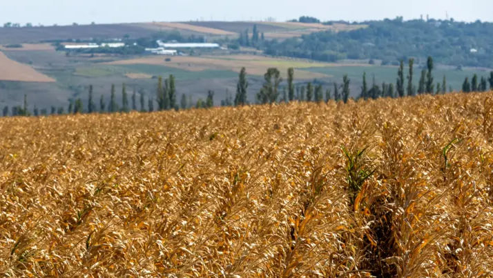 R. Moldova a aderat la platforma internațională Agroecology Coalition