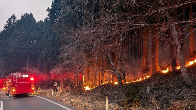 Sute de pompieri luptă contra incendiilor forestiere în nordul Japoniei