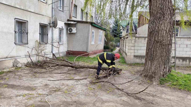 Arbori căzuți și mașini avariate: Intervențiile IGSU în urma intensificărilor de vânt