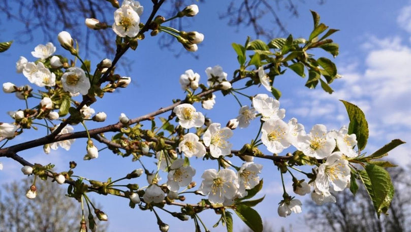 Meteo 23 aprilie 2026: Se așteaptă ploi slabe în unele zone. Temperaturile prognozate