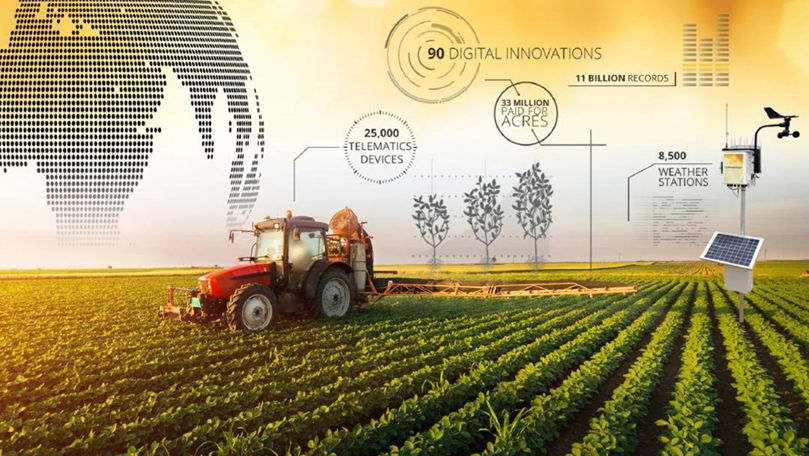 Experți: IT, agricultura inovativă și AI ar putea relansa economia R. Moldova