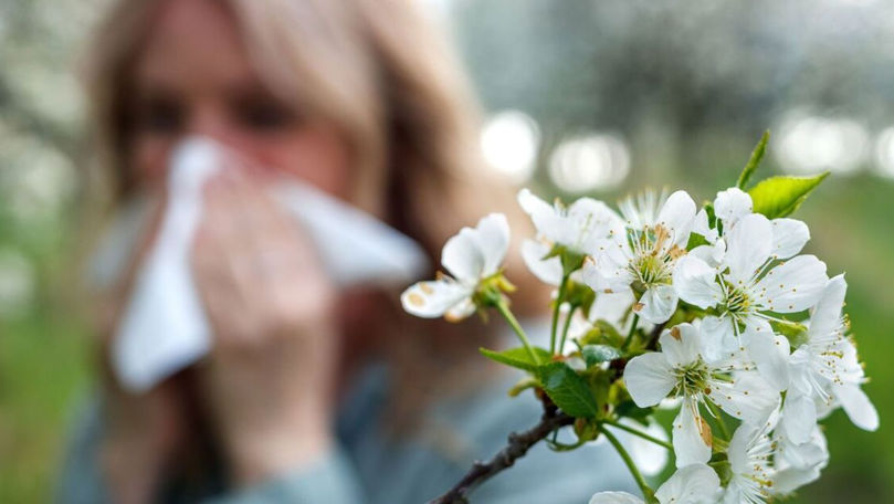 Alergiile de primăvară: Cum ne protejăm de rinita alergică în sezonul înfloririi