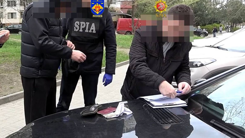 Buletine și permise false scoase la vânzare. O grupare criminală, destructurată