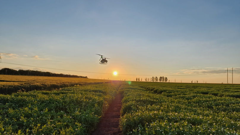 Tehnologia revoluționează agricultura: Dronele devin esențiale în cercetare