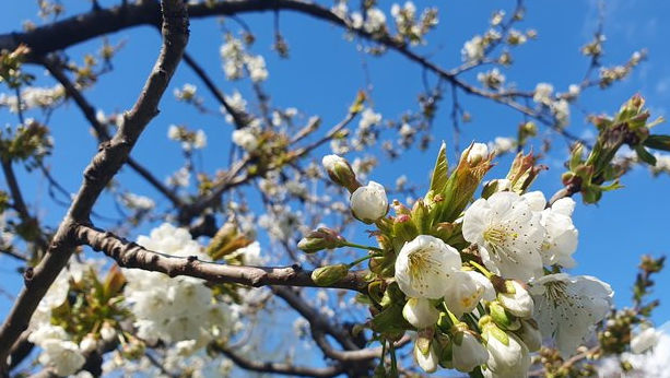 Meteo 19 mai 2026: Cer variabil în toată țara. Ce temperaturi vom avea astăzi
