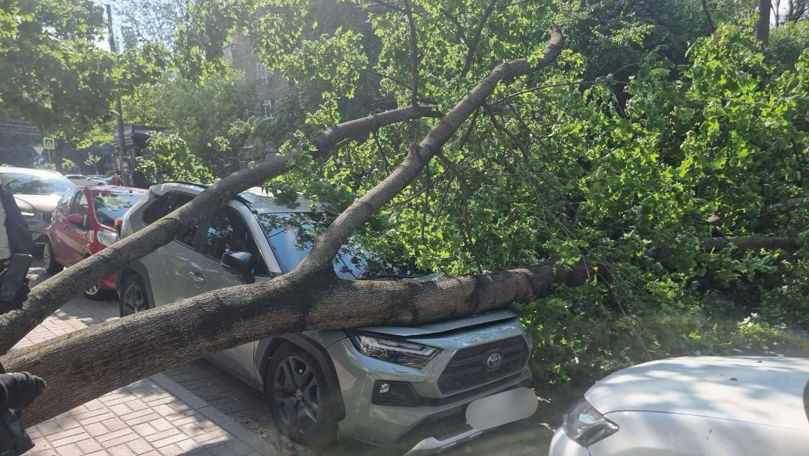 O creangă s-a prăbușit peste o mașină parcată la Botanica: Circulația, blocată