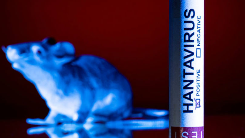 În Moldova nu a fost înregistrat niciun caz de hantavirus. Ce spun specialiștii