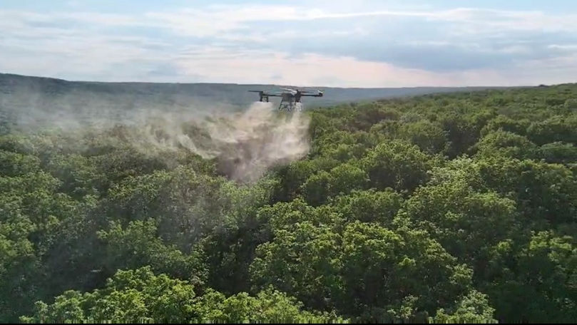 Silvicultorii au intervenit cu drone pentru combaterea dăunătorilor în păduri
