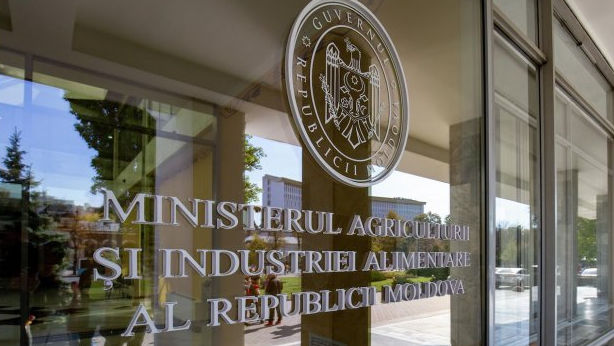 Raport: Probleme în gestionarea fondurilor și patrimoniului public la MAIA