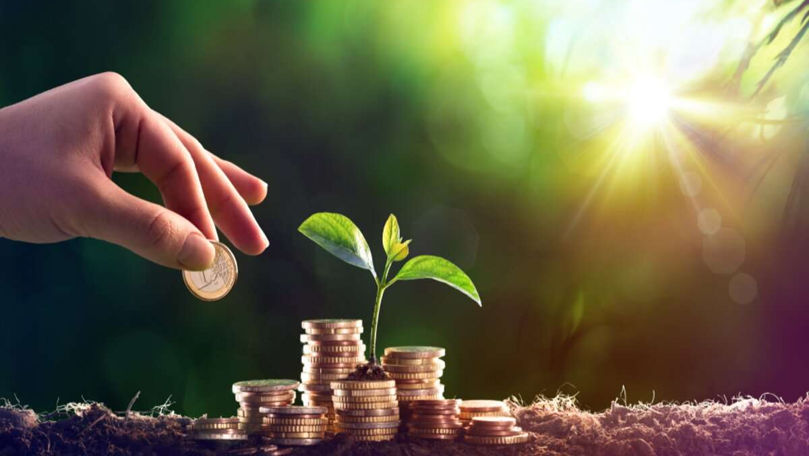 Fermierii au primit subvenții de peste 178 milioane de lei în luna mai