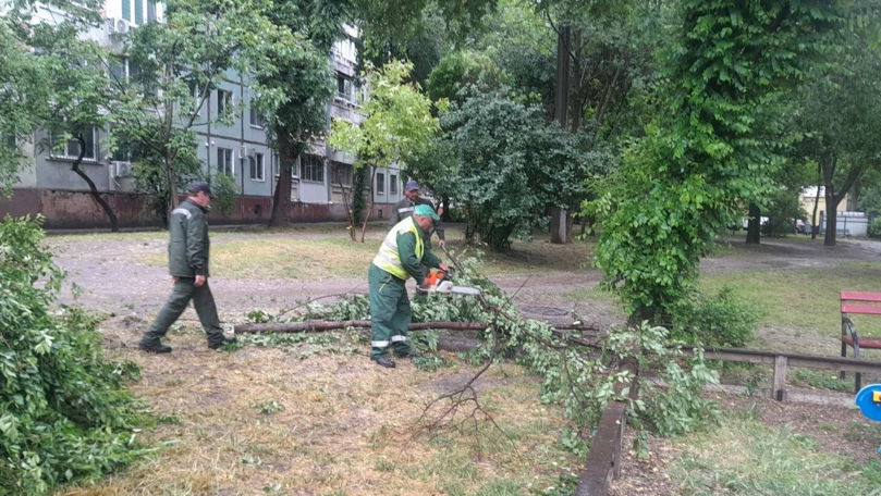 Ploile au făcut ravagii în Chișinău: Copaci doborâți și porțiuni de drum inundate