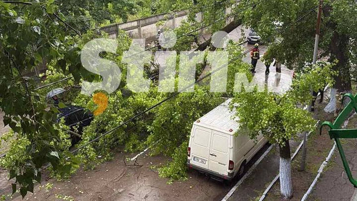 Chișinău: Un arbore a căzut peste trei automobile pe strada Melestiu. Ce spune Poliția