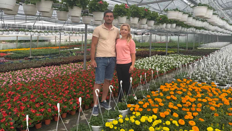 Boscana: Povestea unei familii care transformă pasiunea pentru flori într-o afacere