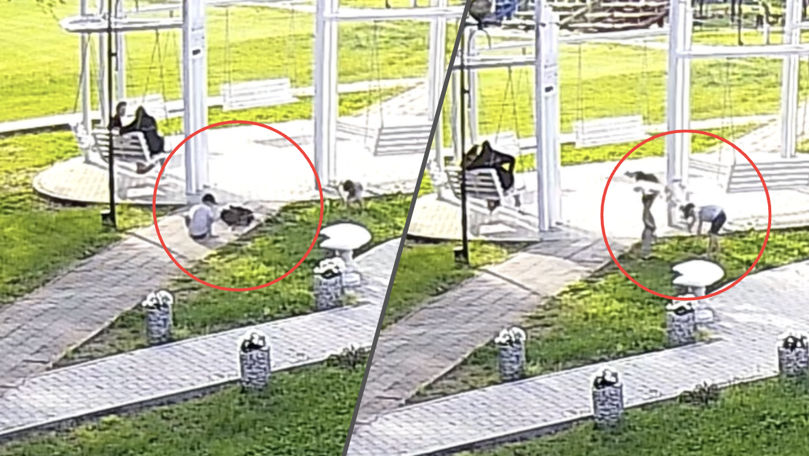 Un copil a rupt un copac de sakura din Parcul Sculeni. Mesajul Primăriei