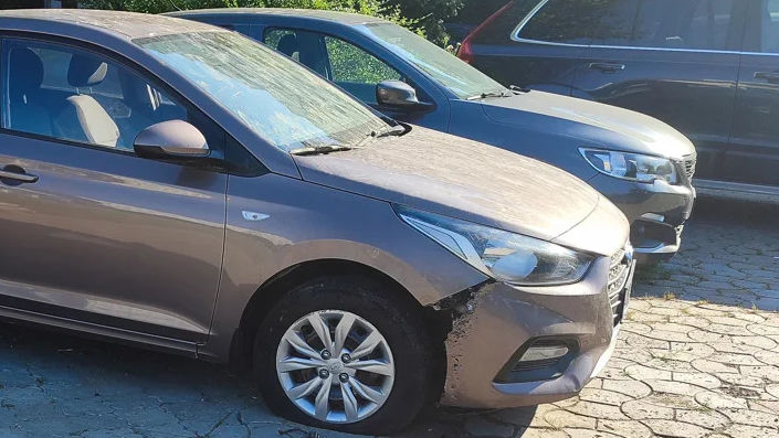 O haită de câini vagabonzi a avariat o mașină parcată în Chișinău
