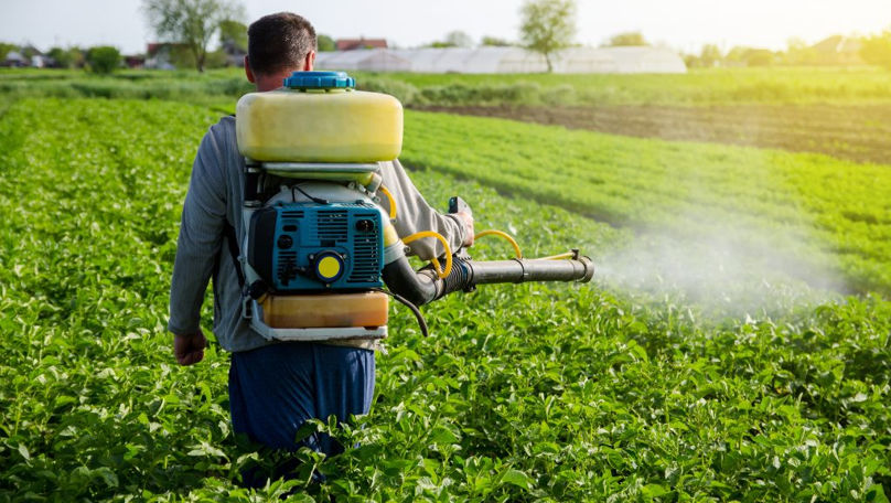 Cum se folosesc corect pesticidele: Recomandările specialiștilor pentru agricultori