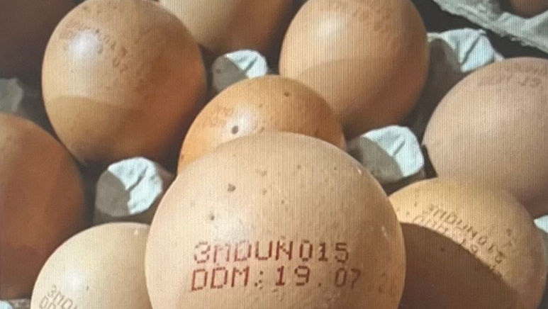 ANSA retrage de pe piață un lot de ouă: A fost depistată salmonella