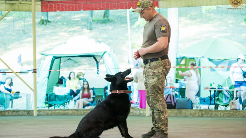 Demonstrații și emoții pozitive: Cetățenii, invitați la expozițiile canine