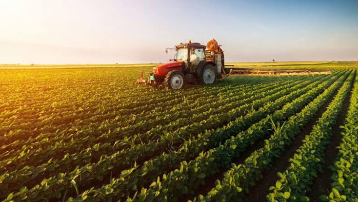 Agricultura moldovenească, în fața noii politici fiscale: Ce riscuri văd fermierii