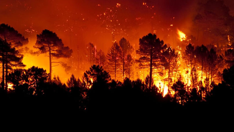 Incendiile fac ravagii în Europa: Mii de oameni evacuați și zeci de mii de hectare arse