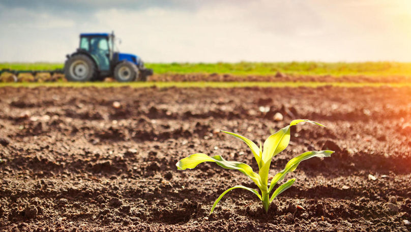 Ministerul Agriculturii creează o bază de date privind dezvoltarea agricolă durabilă