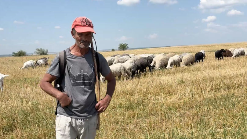 A păstorit oile timp de 50 de ani: Povestea unui cioban din Căușeni