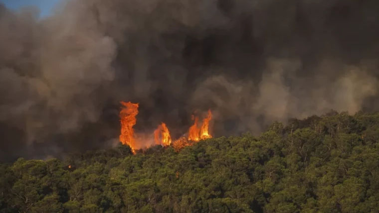 Incendiu în Germania: Muniția din Al Doilea Război Mondial îngreunează intervenția