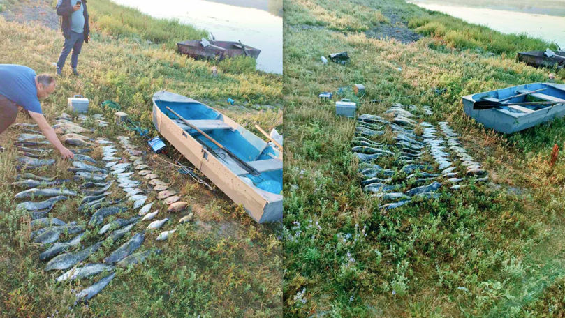 Braconieri prinși în flagrant pe Nistru. Printre capturi, pești din Cartea Roșie